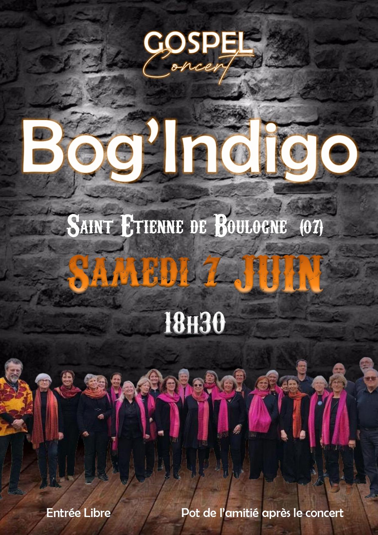 Affiche concert bog indigo juin 2025